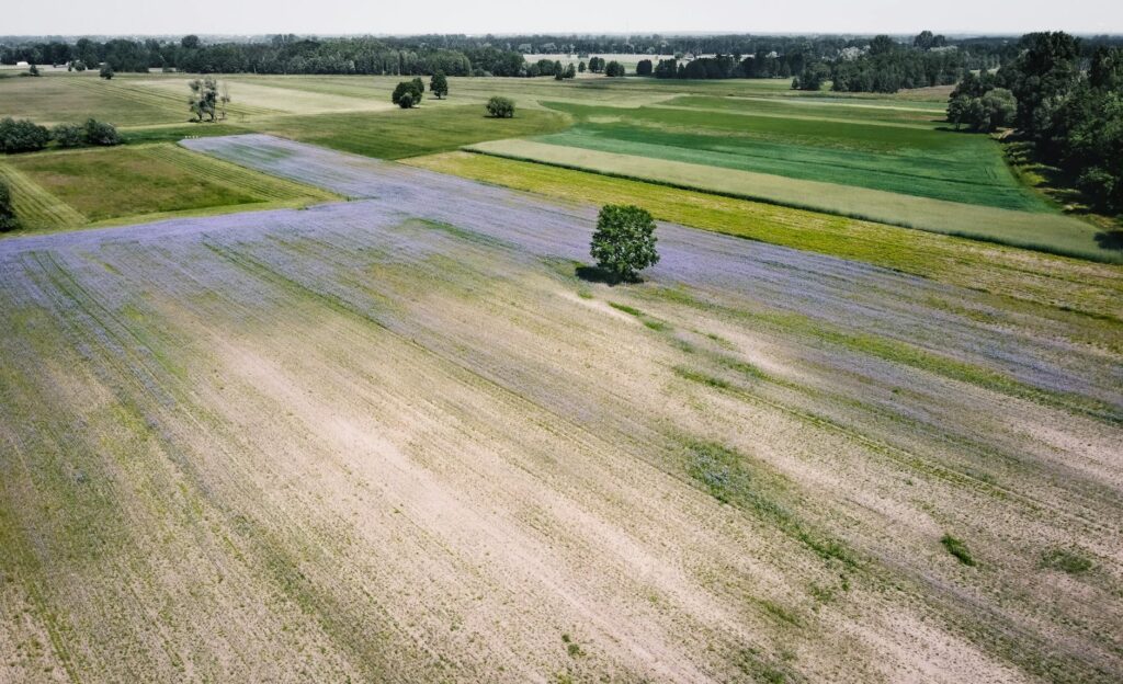 rural view of fields and meadows from above drone aerial